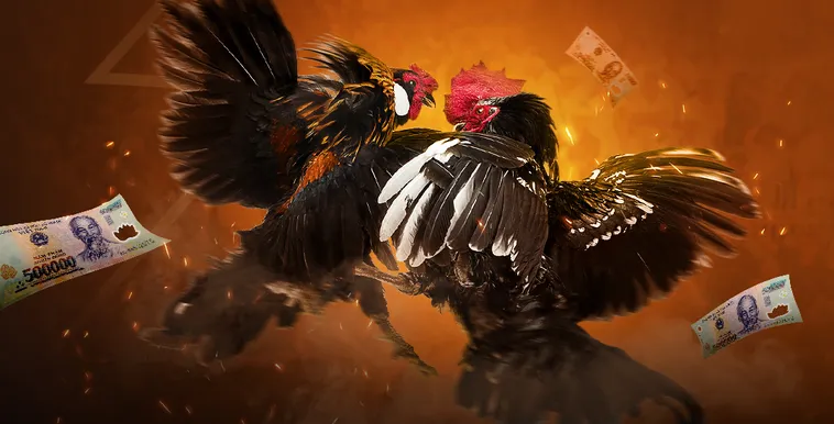 Hướng Dẫn Chơi Đá Gà Sabong Tại DAGA Để Thắng Lớn Hiệu Quả
